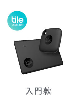入門款